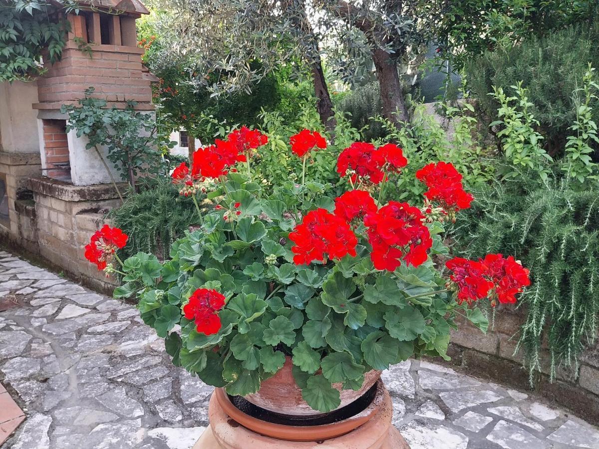 Casa Di Giulia Apartman Santa Luce Kültér fotó